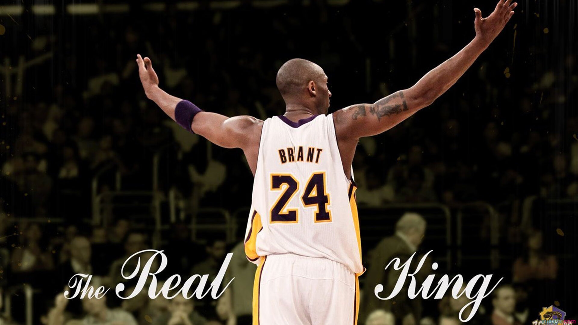 “中国足球协会推动职业联赛标准化”，中国足球协会会标