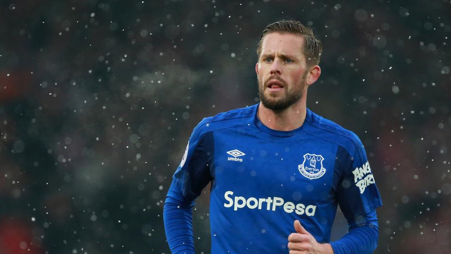 健身行业进入快速发展阶段，市场需求持续增长，健身行业的市场容量和变化趋势